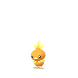 Torchic Oscuro