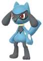 Riolu