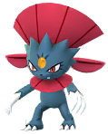 Shadow Weavile