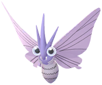 Shadow Venomoth