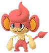 Pansear