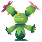 Maractus
