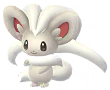 Cinccino