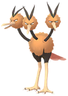 Dodrio