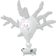 Cursola