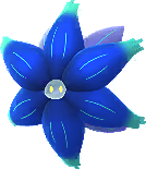 Glimmora
