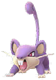 Rattata