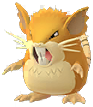 Raticate
