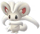 Cinccino
